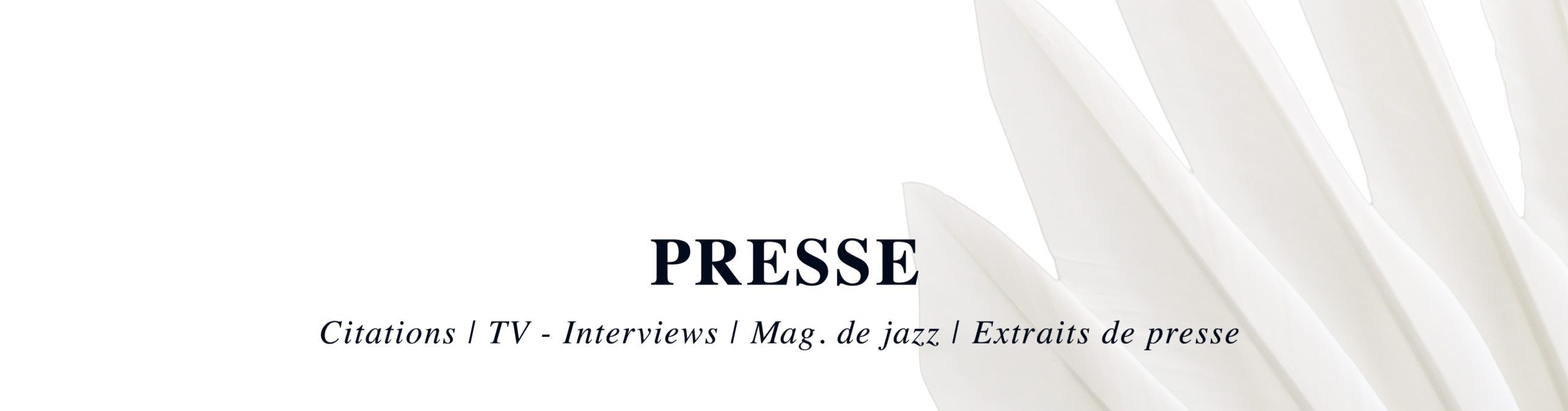 Presse Pepa Niebla Chanteuse Et Compositrice